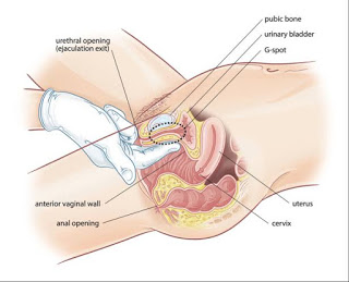 How To Make Your Gf Squirt